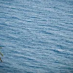 Sikelia Luxury Scauri (Sicily)