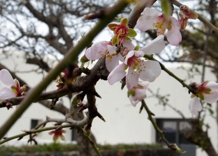 Sikelia Luxury Отель Scauri (Sicily)